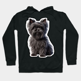 Affenpinscher Hoodie